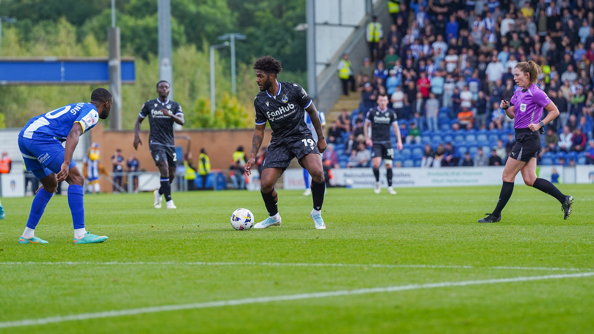 Ellis Harrison 