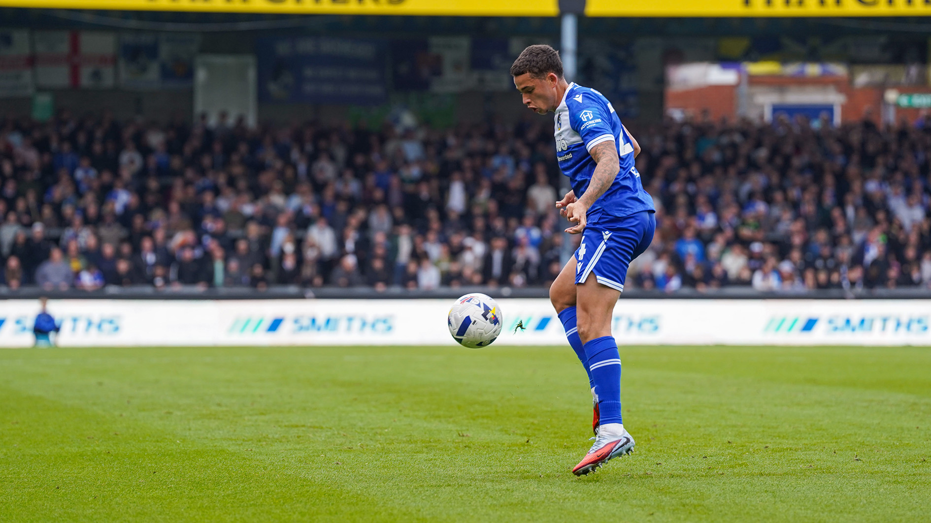 Alfie Chang 