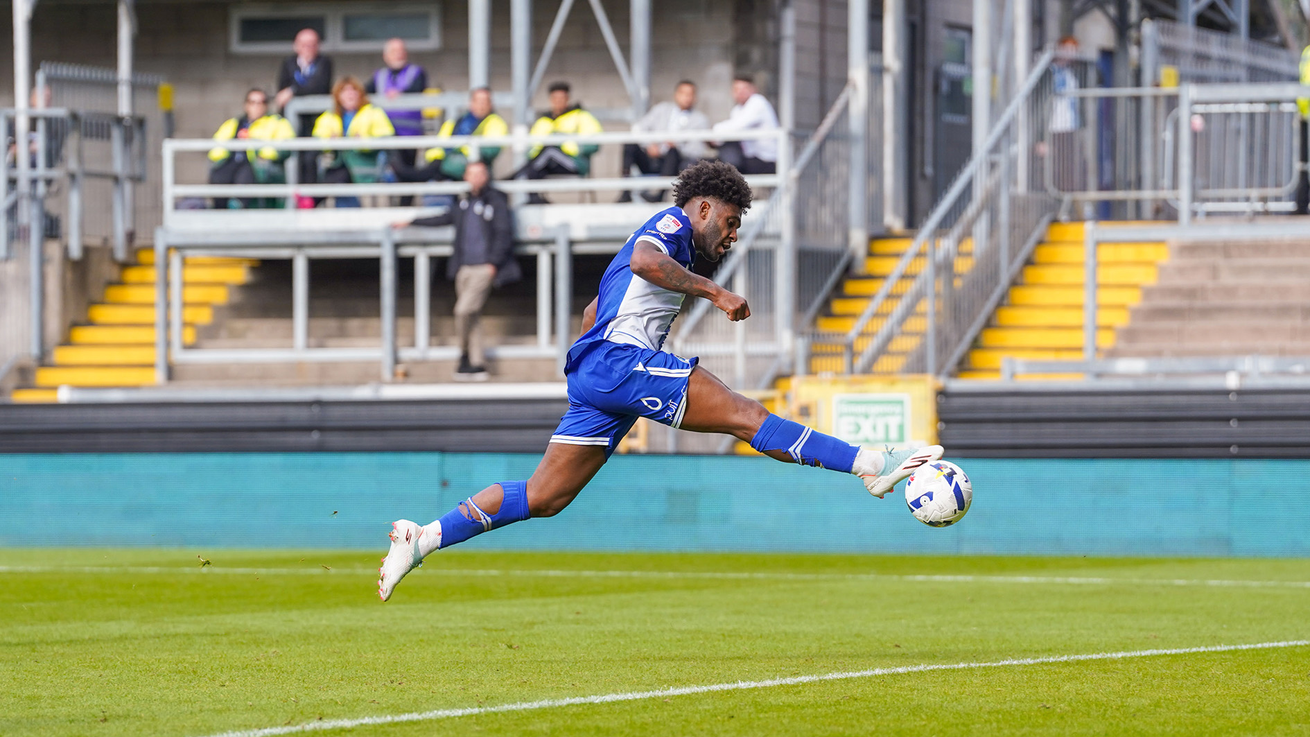 Ellis Harrison 