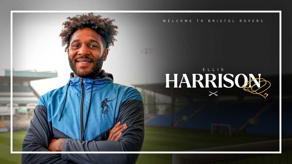 Ellis Harrison interview piece