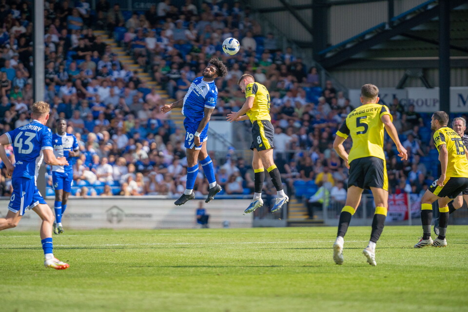 Ellis Harrison 