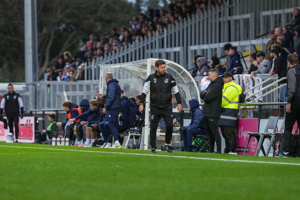 Gallery | Cavegn & Cotterill score in Rovers FA Cup victory