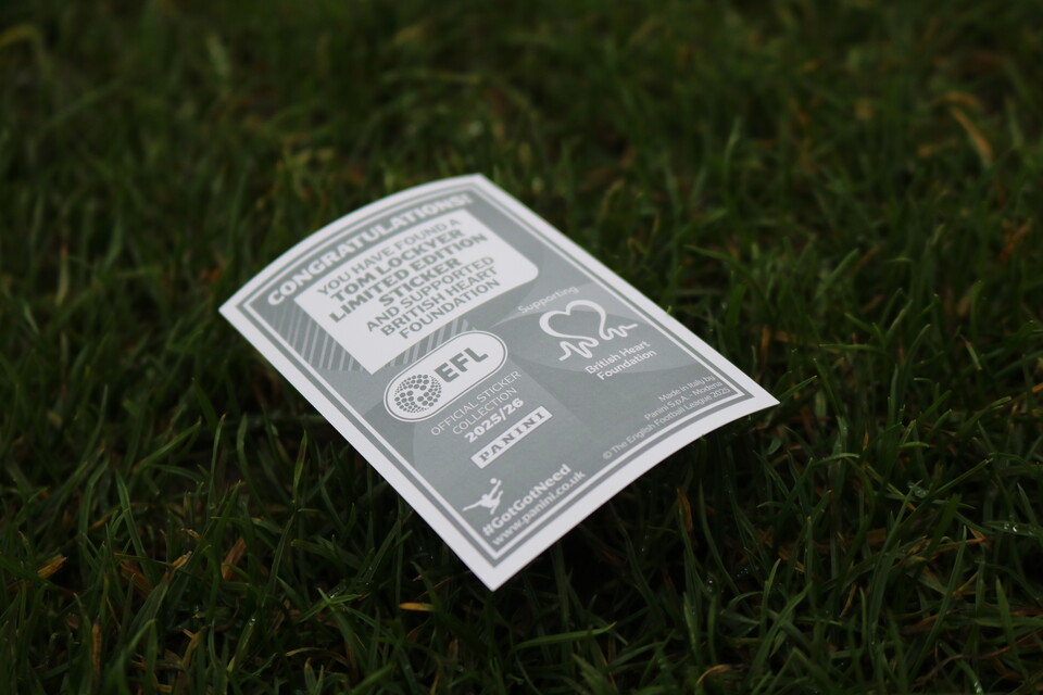 Back of Shiny Sticker