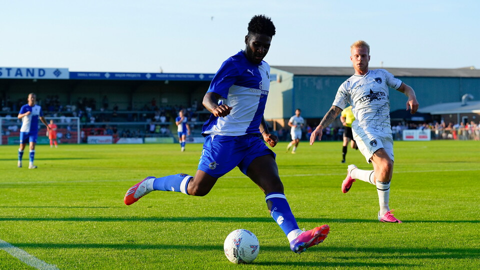 Ellis Harrison