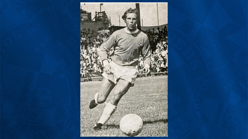 Robin Stubbs