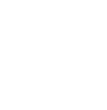 Macron Logo