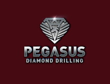 Pegasus Drilling
